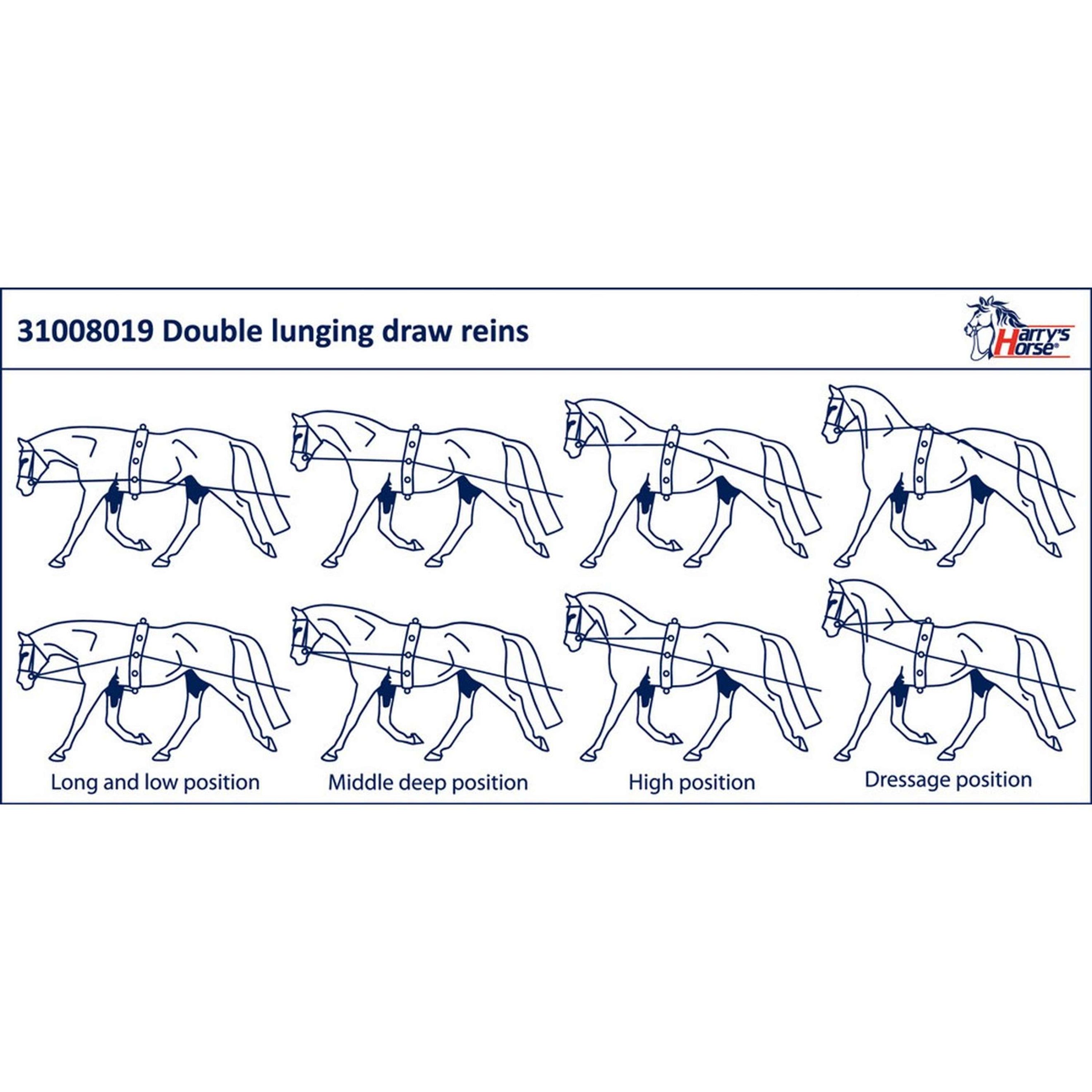Harry's Horse Longe Doppel Schwarz Harry's Horse Longe Doppel Schwarz