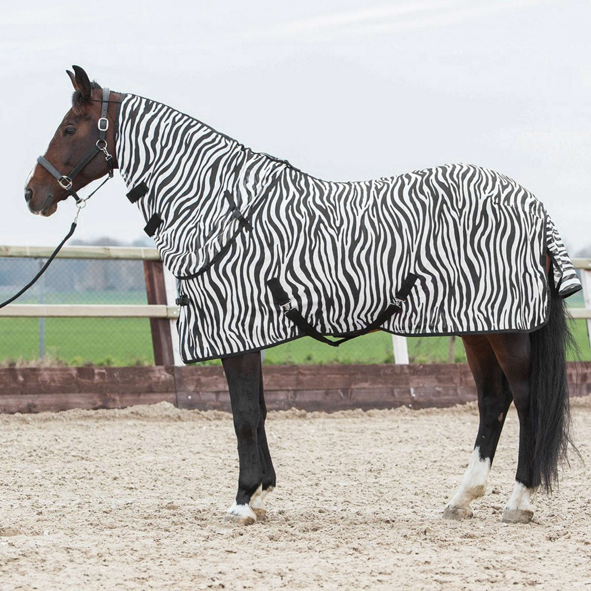 Harry's Horse Fliegendecke mit seperatem Halsteil Zebra