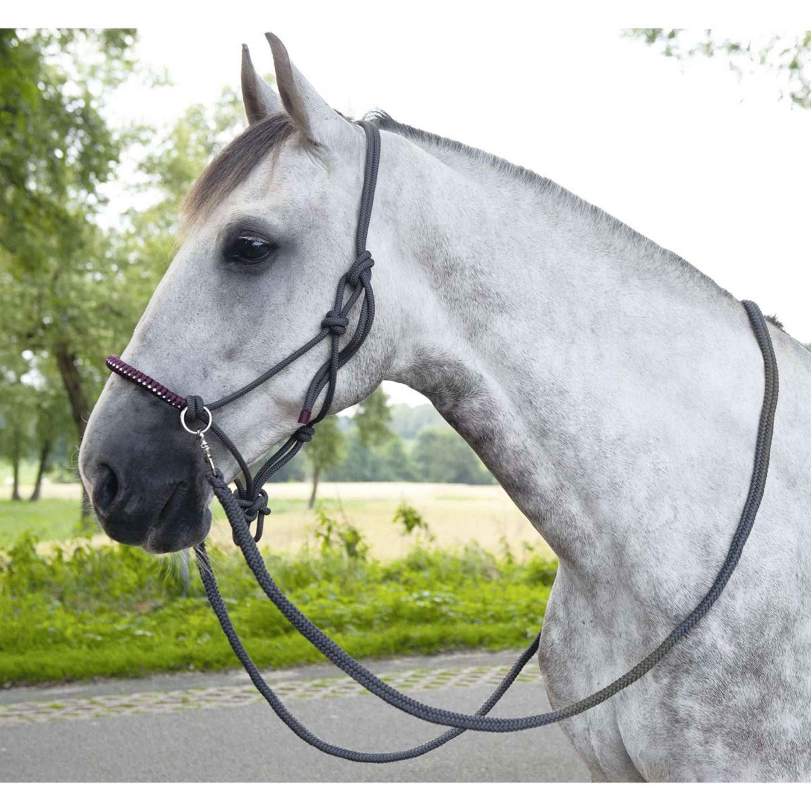 HKM Knotenhalfter Deko mit Zügel Dunkelgrau/Weinbeere HKM Knotenhalfter Deko mit Zügel Dunkelgrau/Weinbeere