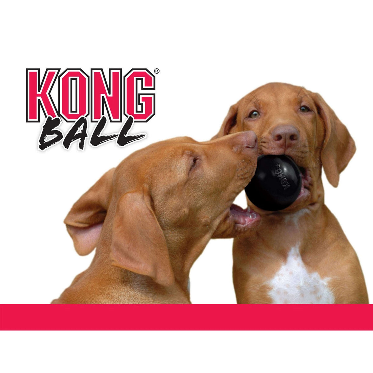 KONG Ball Extreme Schwarz