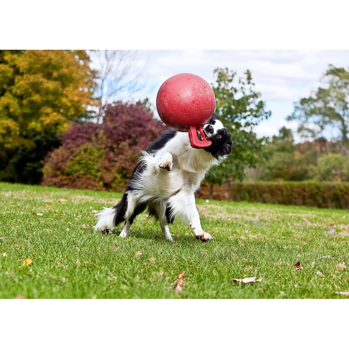 Jolly Ball Tug-n-Toss Baby Blau