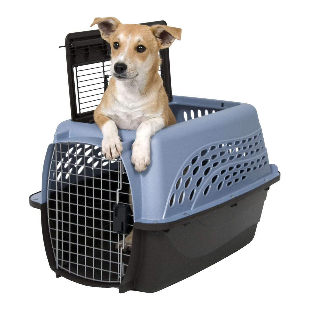 Petmate 2 Door Top Load Kennel Blau