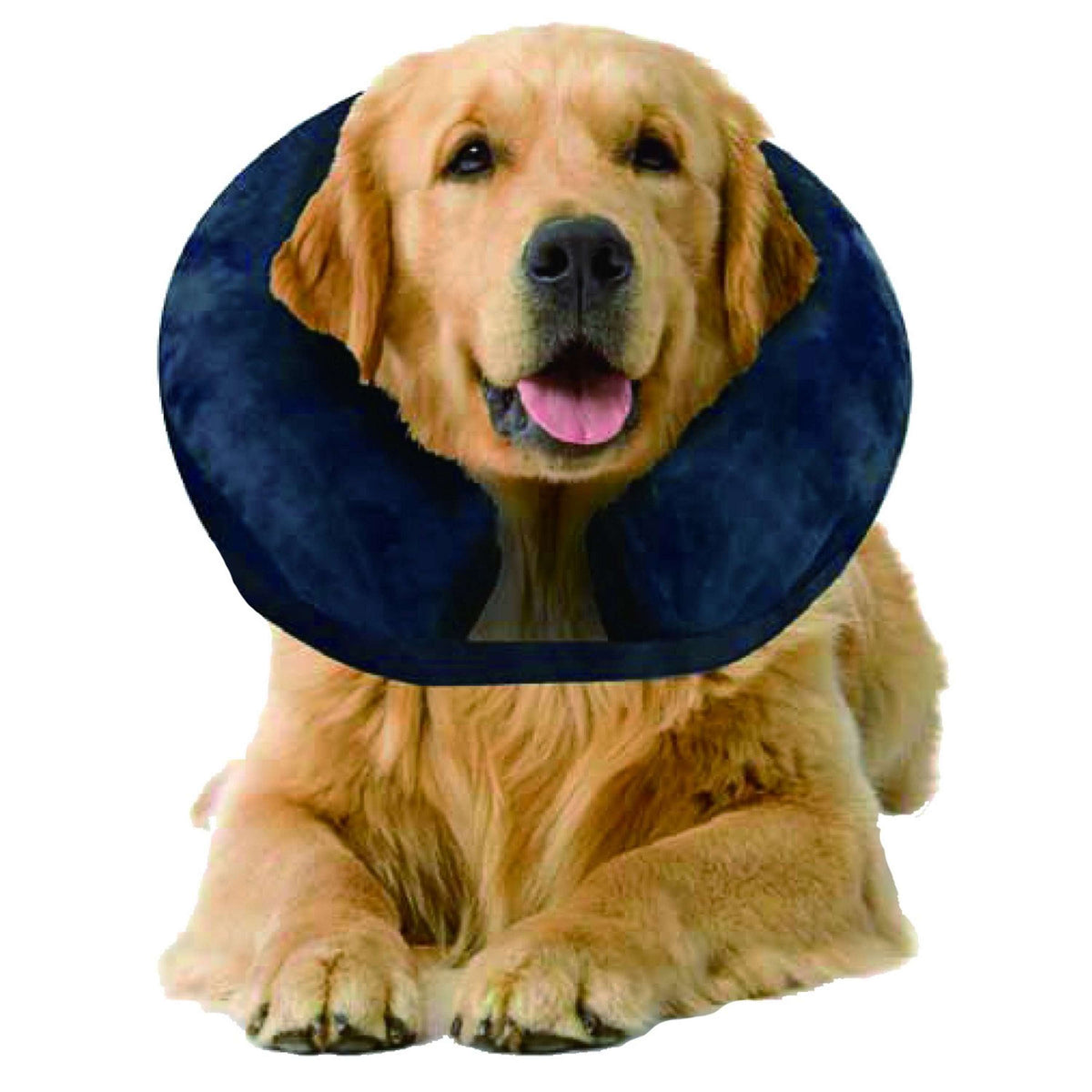 Pawise Inflatable Protective Collar