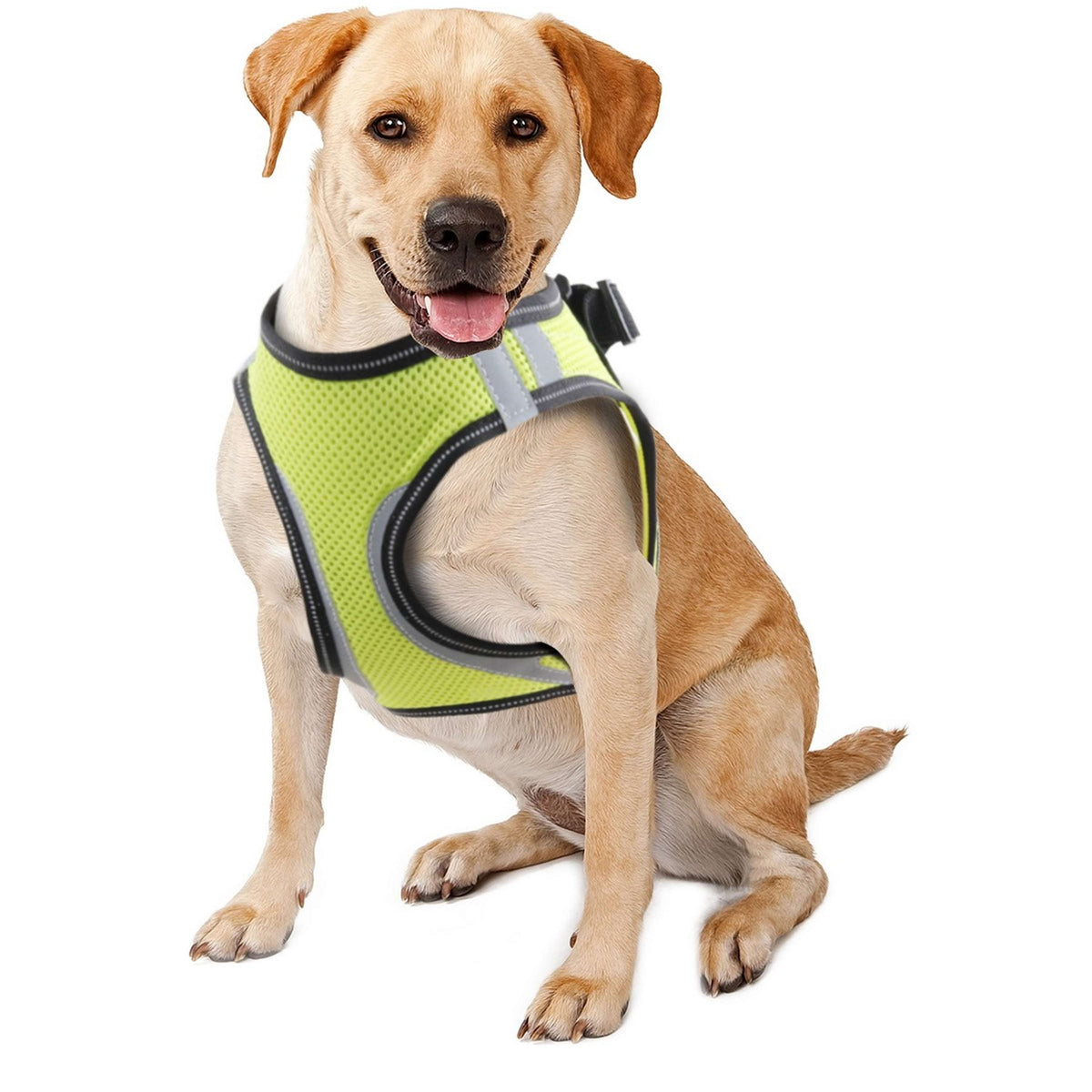 Doggy Safety Harness Simpel