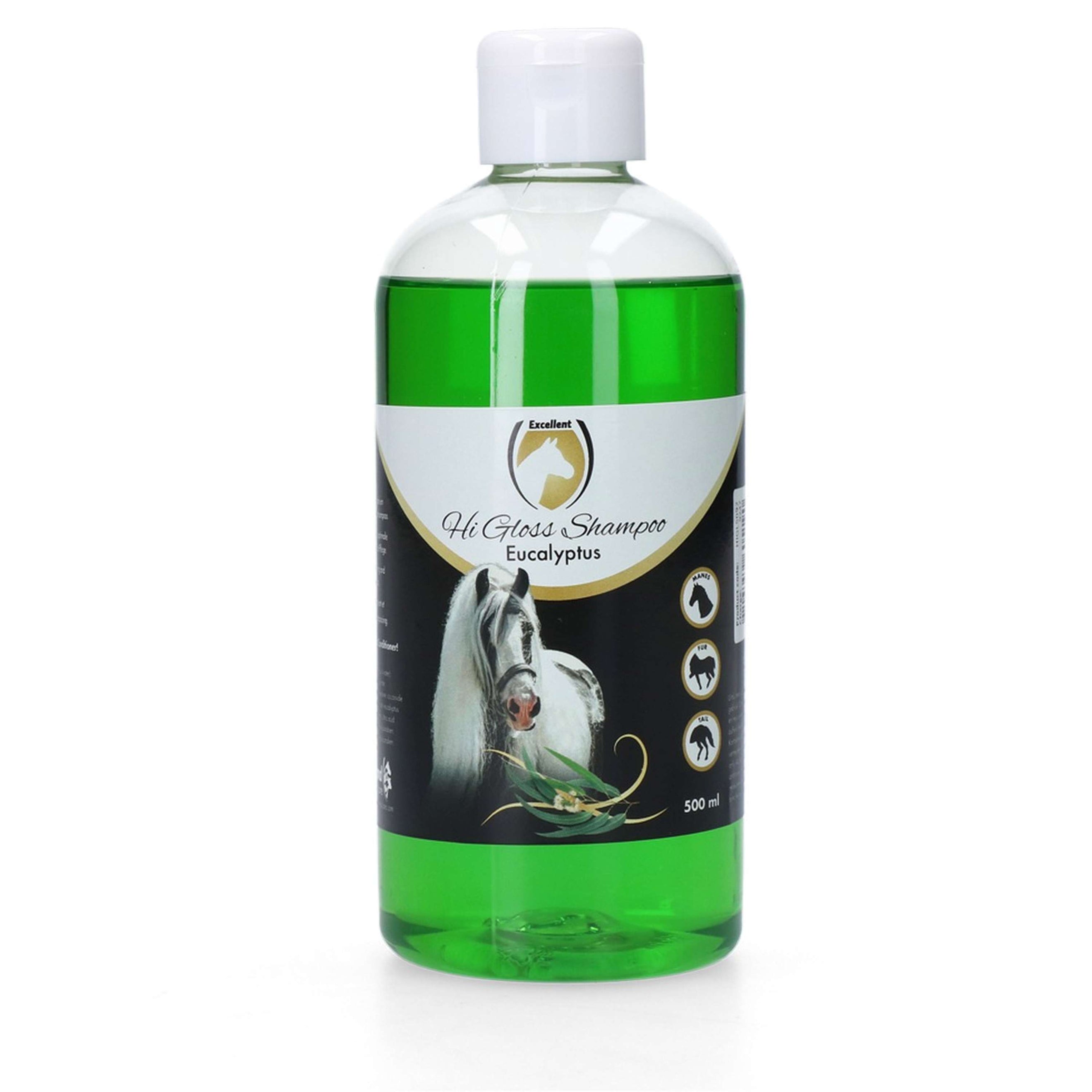 Excellent Hi Gloss Shampoo Eukalyptus Excellent Hi Gloss Shampoo Eukalyptus