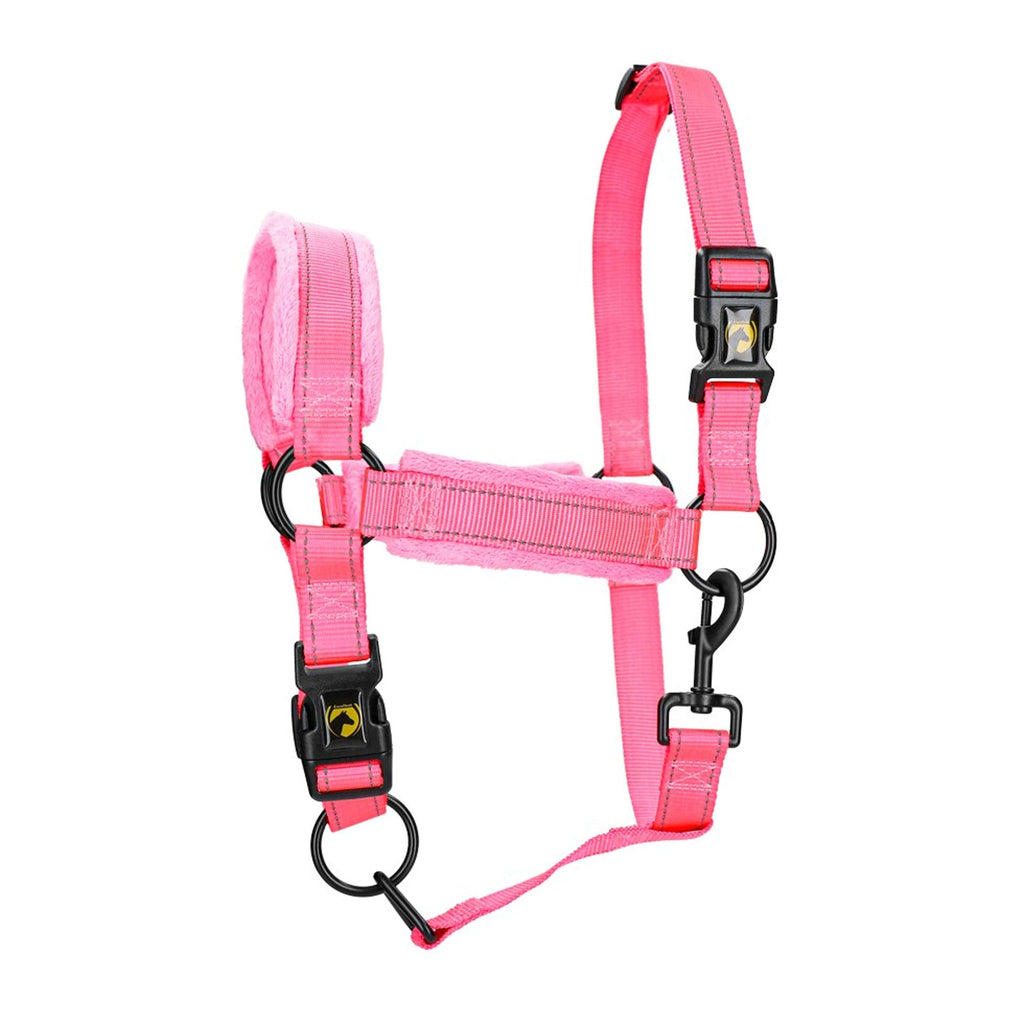 Excellent Halfter Superior Rosa