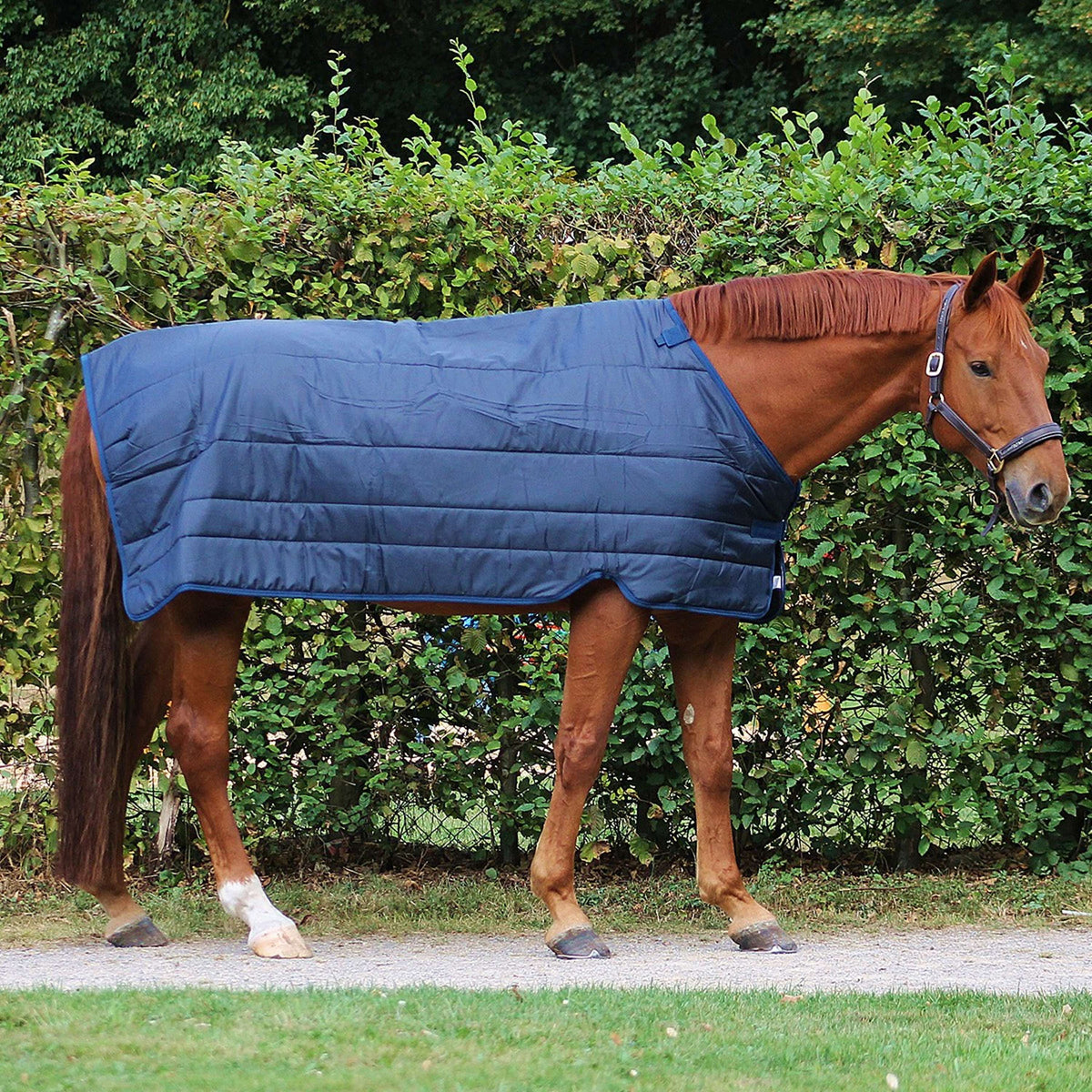 Horseware Liner 100g Navy