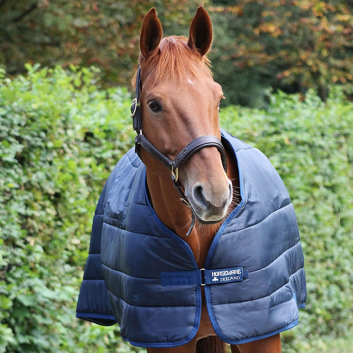 Horseware Liner 300g Navy