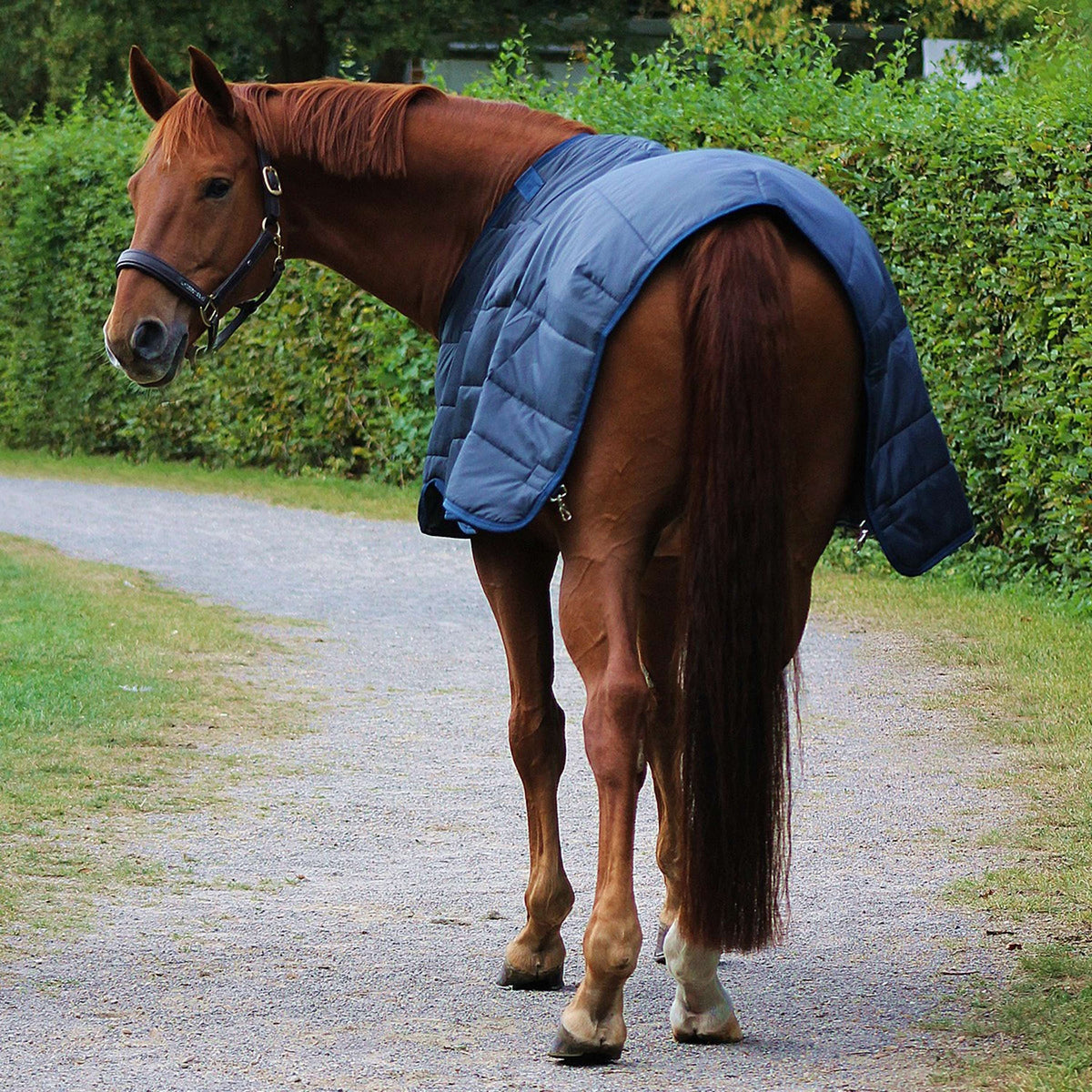 Horseware Liner 300g Navy