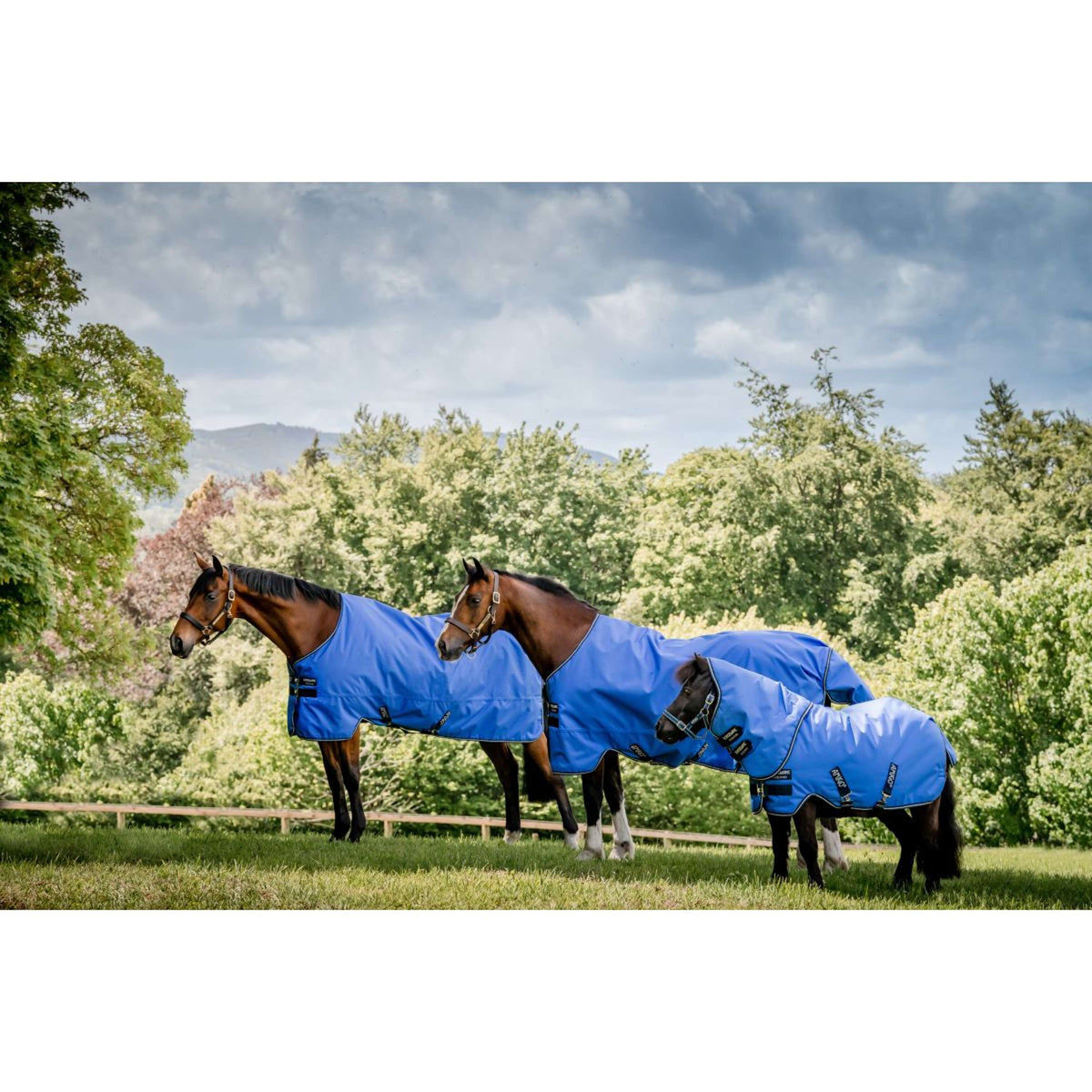 Amigo Turnout Lite Hero 6 Petite Plus 0g Blau/Navy