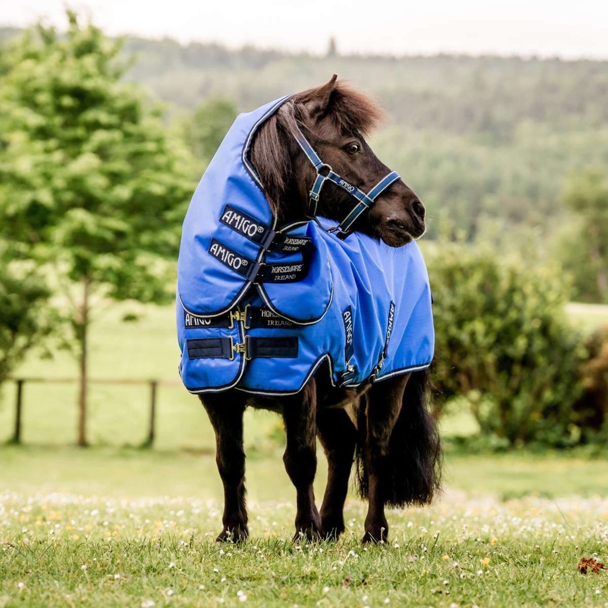 Amigo Turnout Lite Hero 6 Petite Plus 0g Blau/Navy