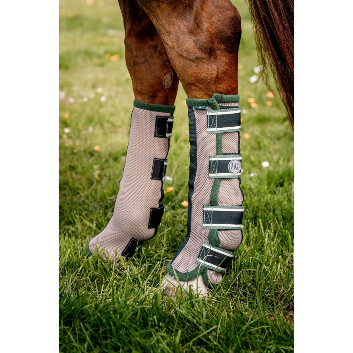 Horseware Flyboots Oatmeal/Sage