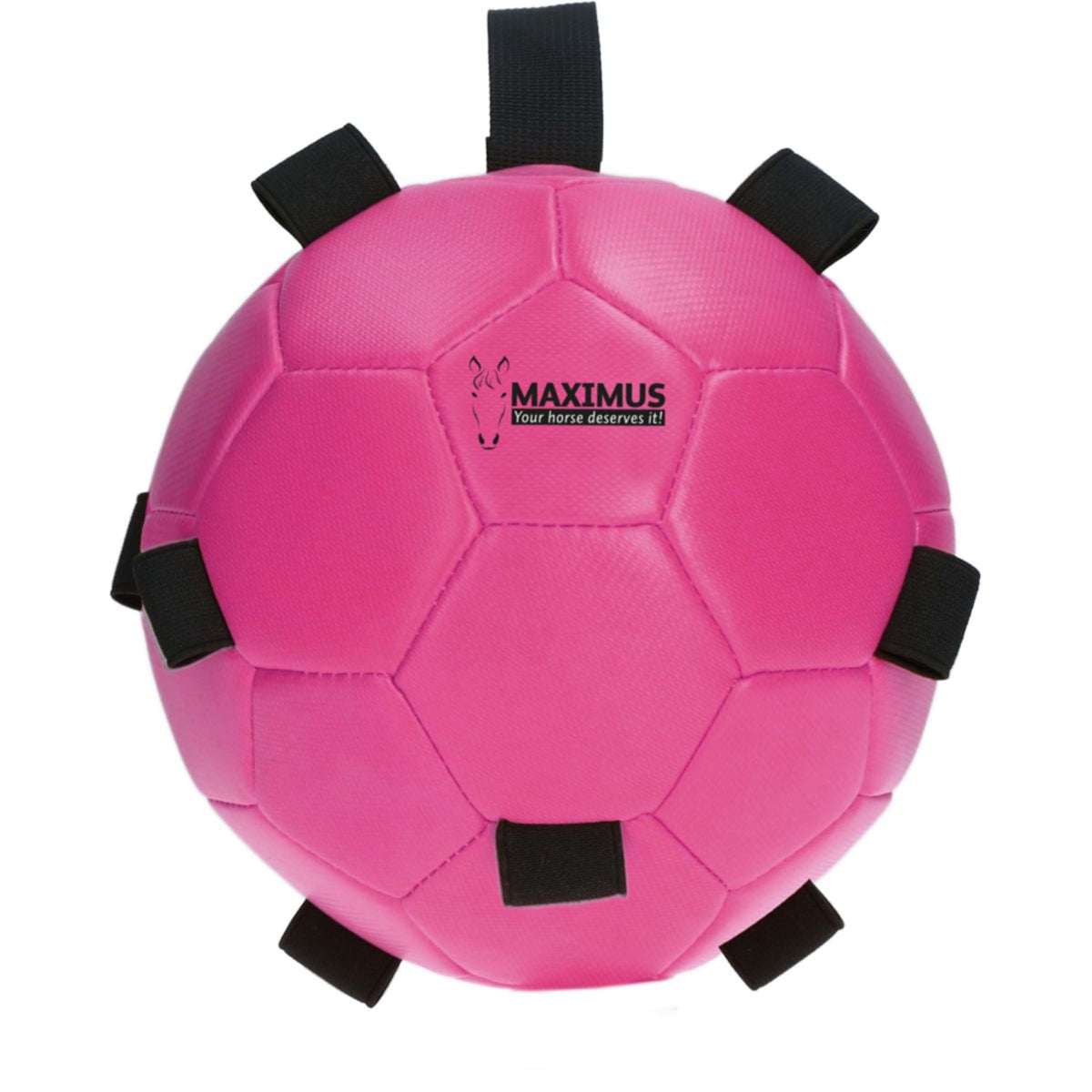 Maximus Ball Fun Play Rosa