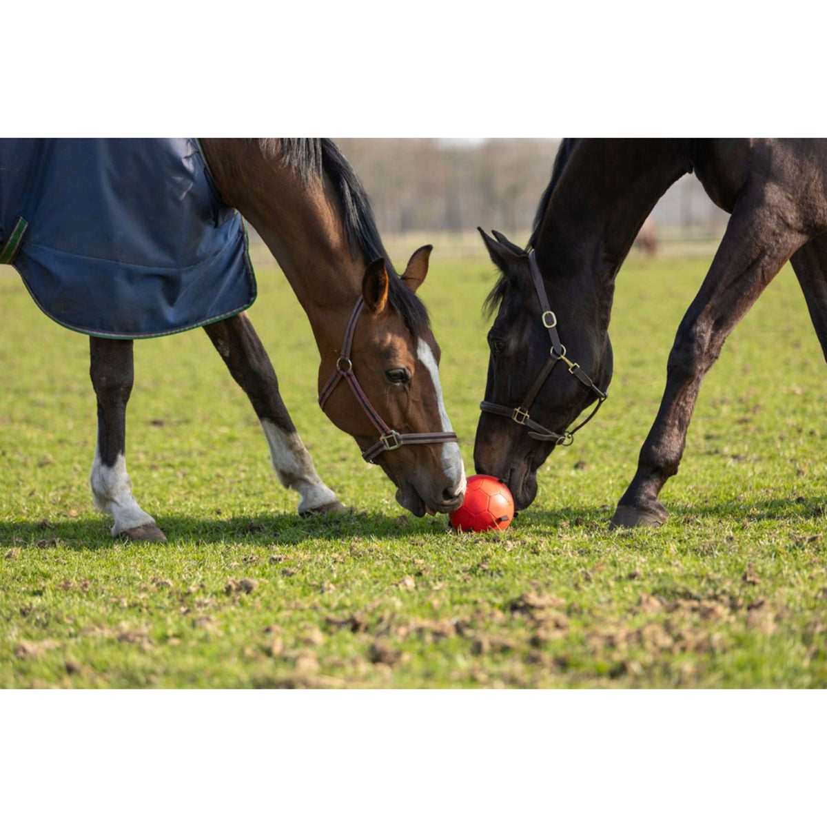 Maximus Ball Fun Play Grün