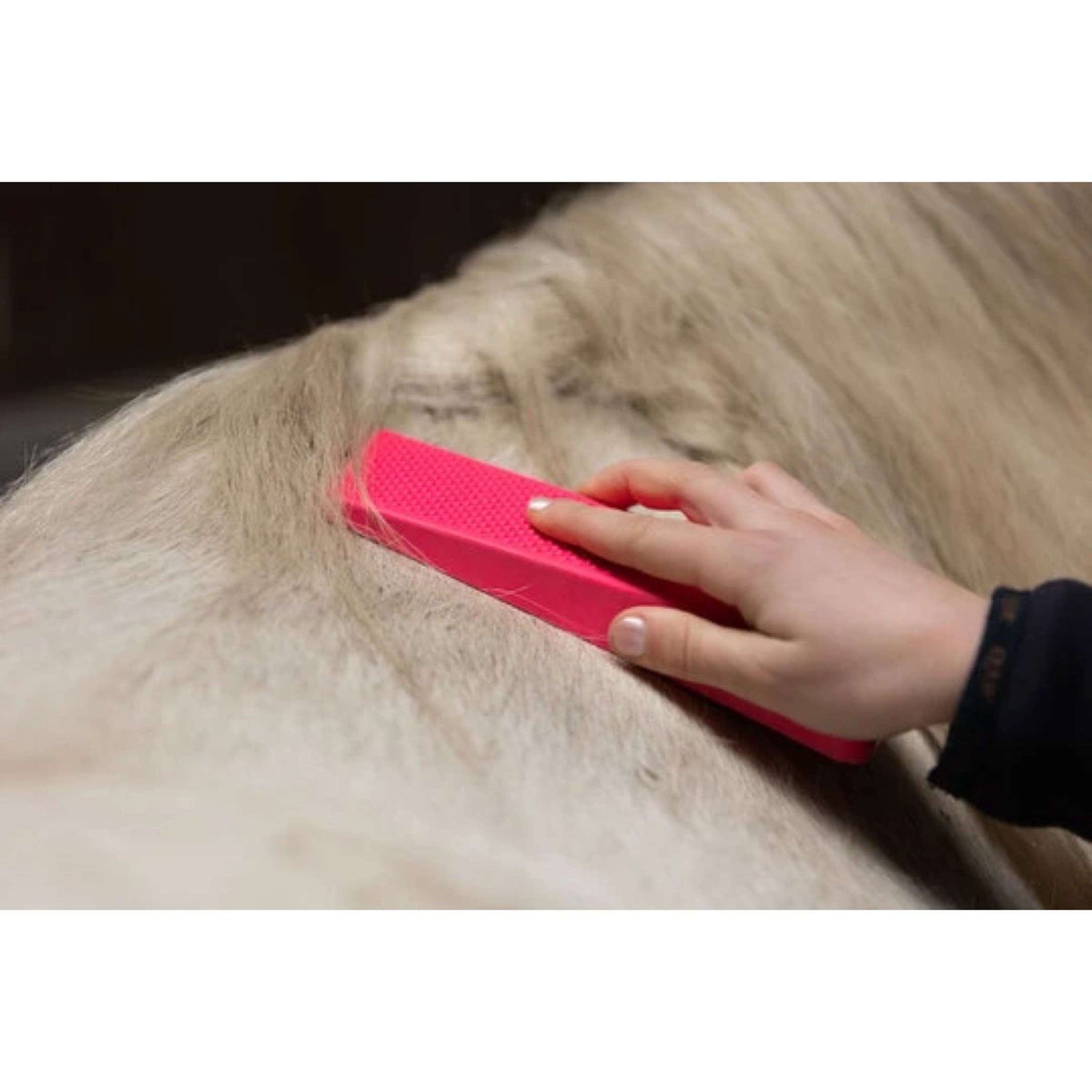 Paardenpraat Grooming Brush Rosa Paardenpraat Grooming Brush Rosa