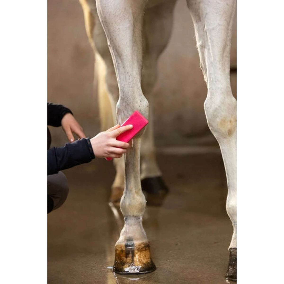 Paardenpraat Grooming Brush Rosa