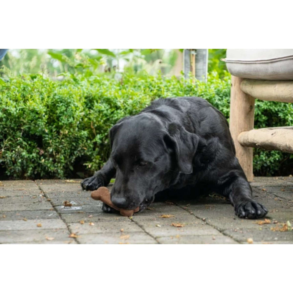 Bugbone Hundesnack