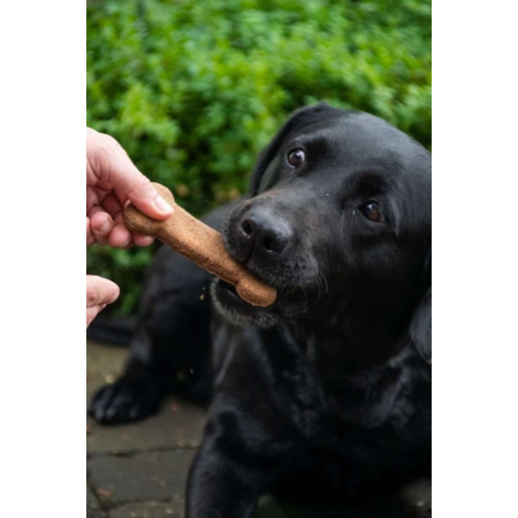 Bugbone Hundesnack