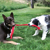 KONG Hundespielzeug Signature Crunch Rope Triple
