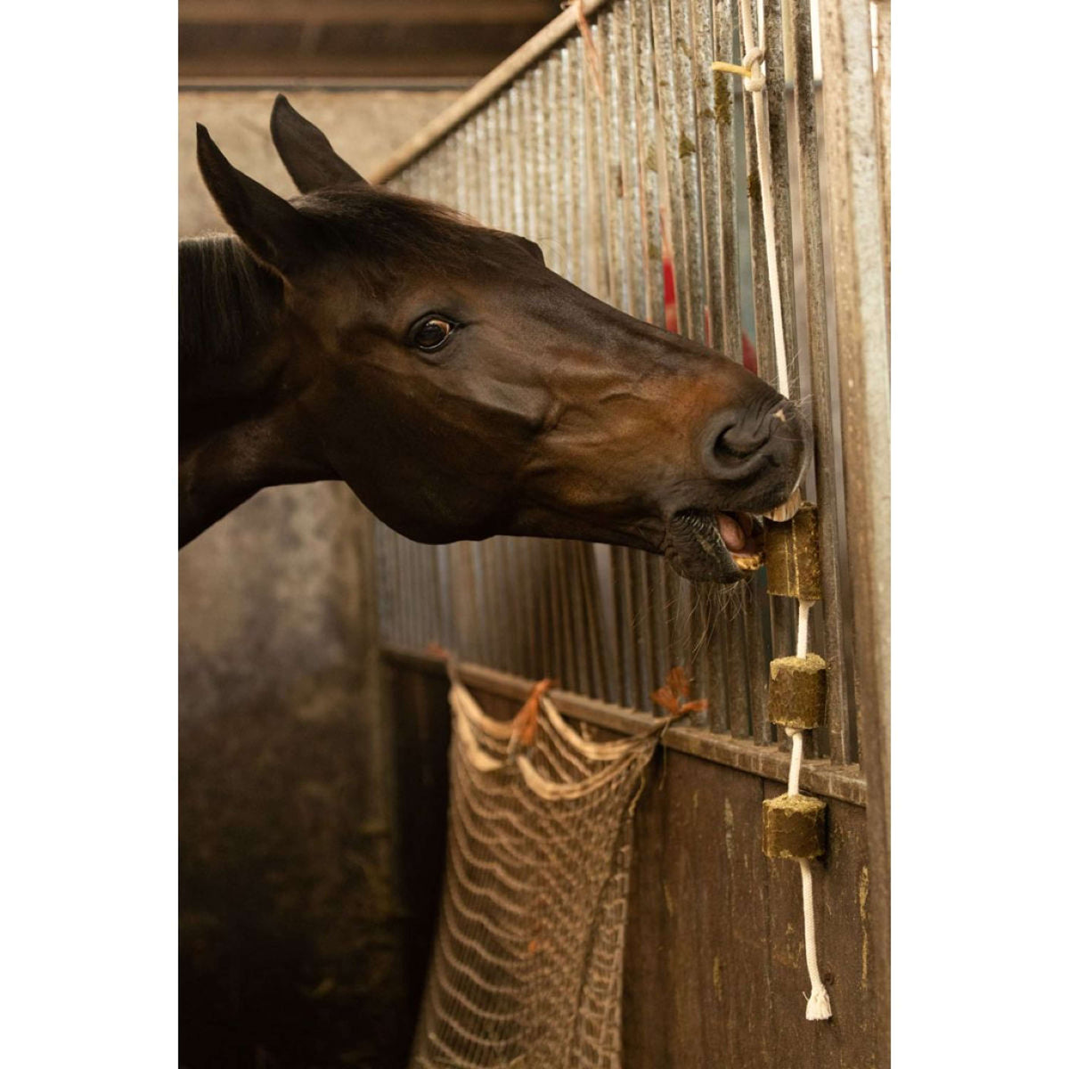 Lax Luzerne an Spielseil