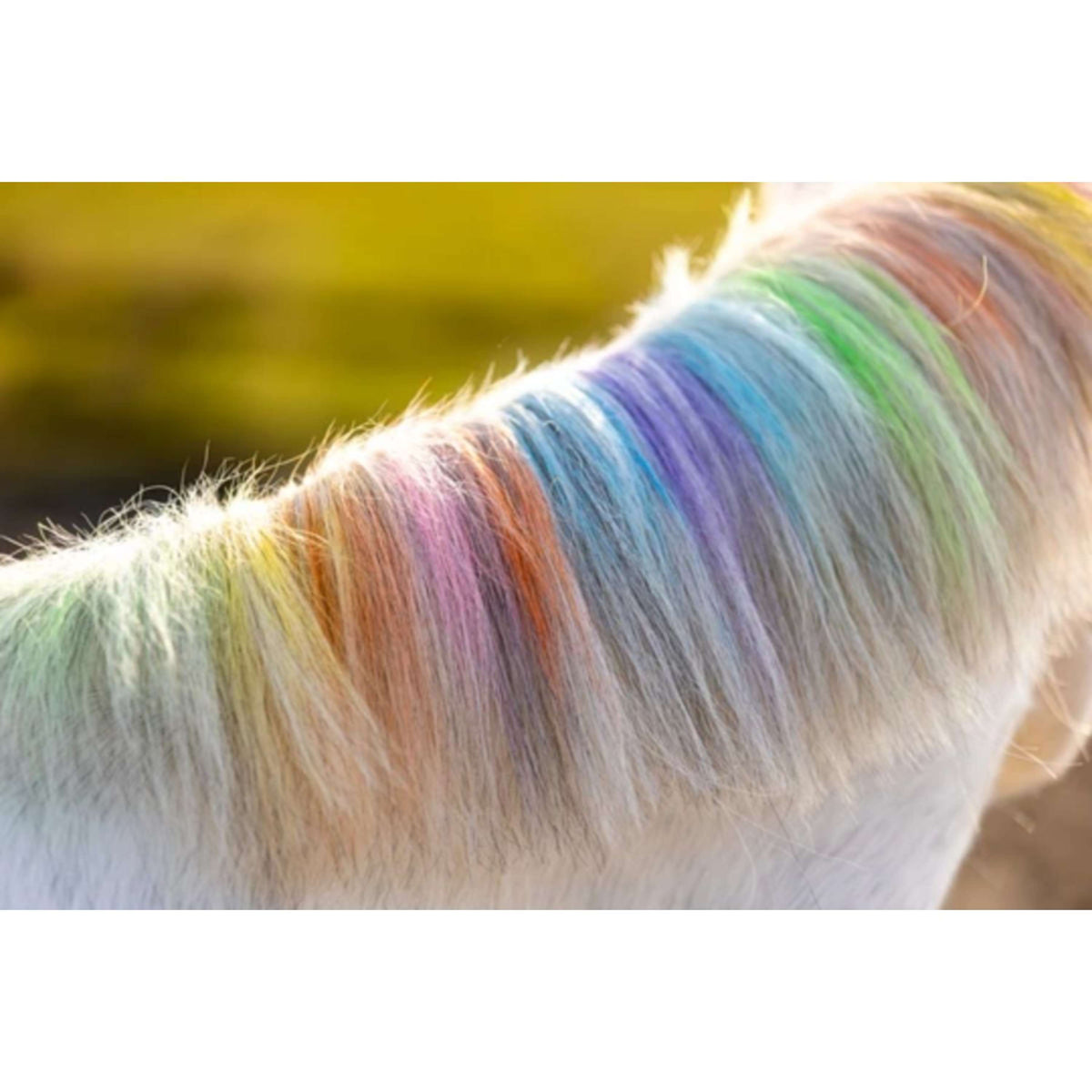 Lucky Horse Kreide Regenbogen