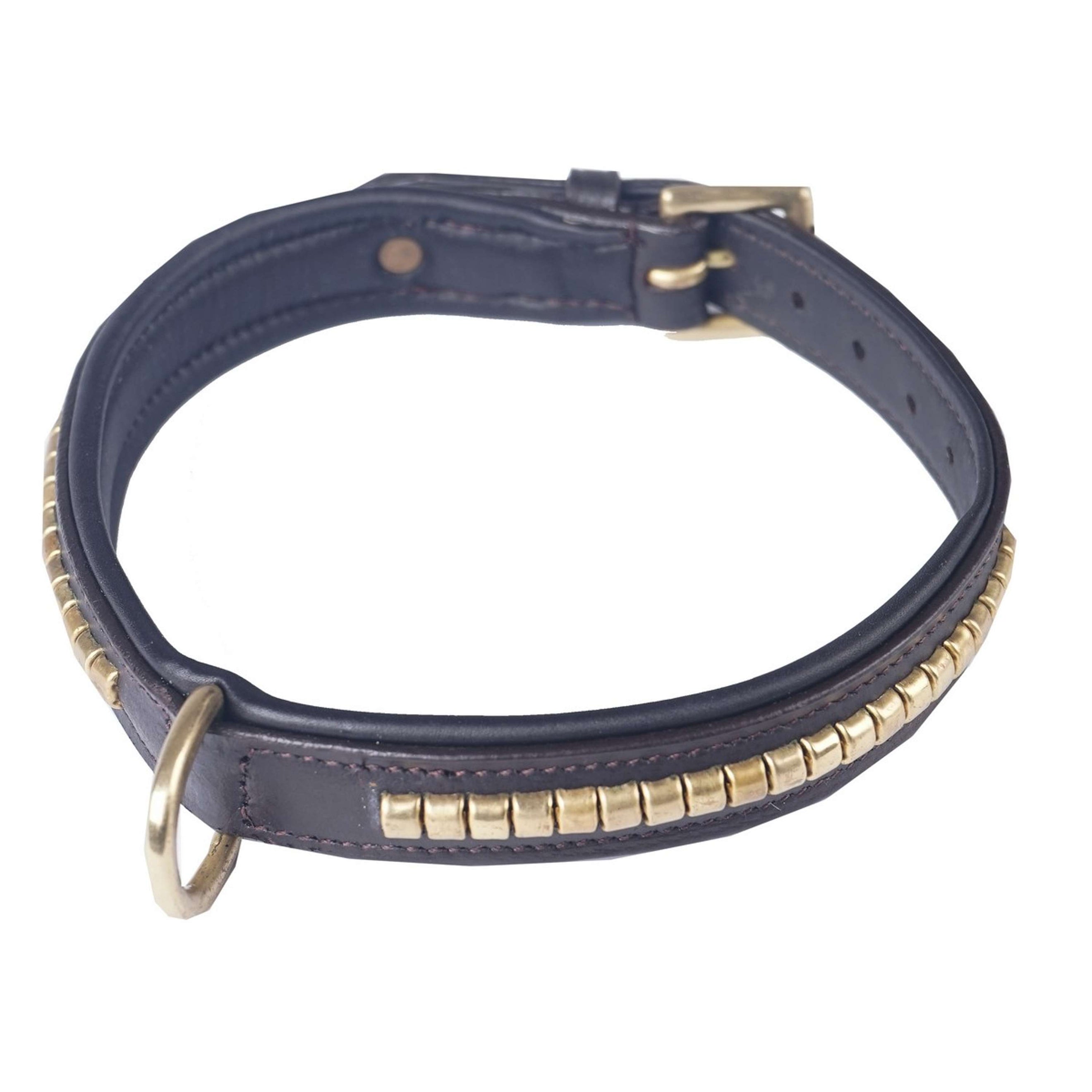 HORKA Halsband Hund Leder Clincher braun/gold HORKA Halsband Hund Leder Clincher braun/gold