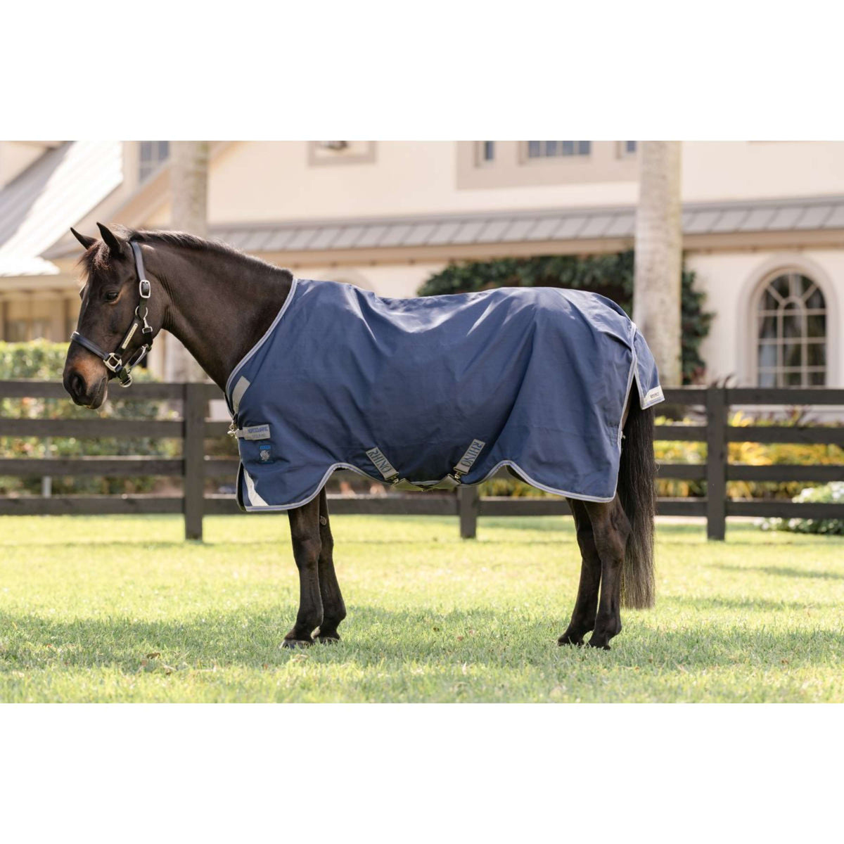 Rhino Turnout Pony 0g Marine/Titangrau/Klassisches Blau