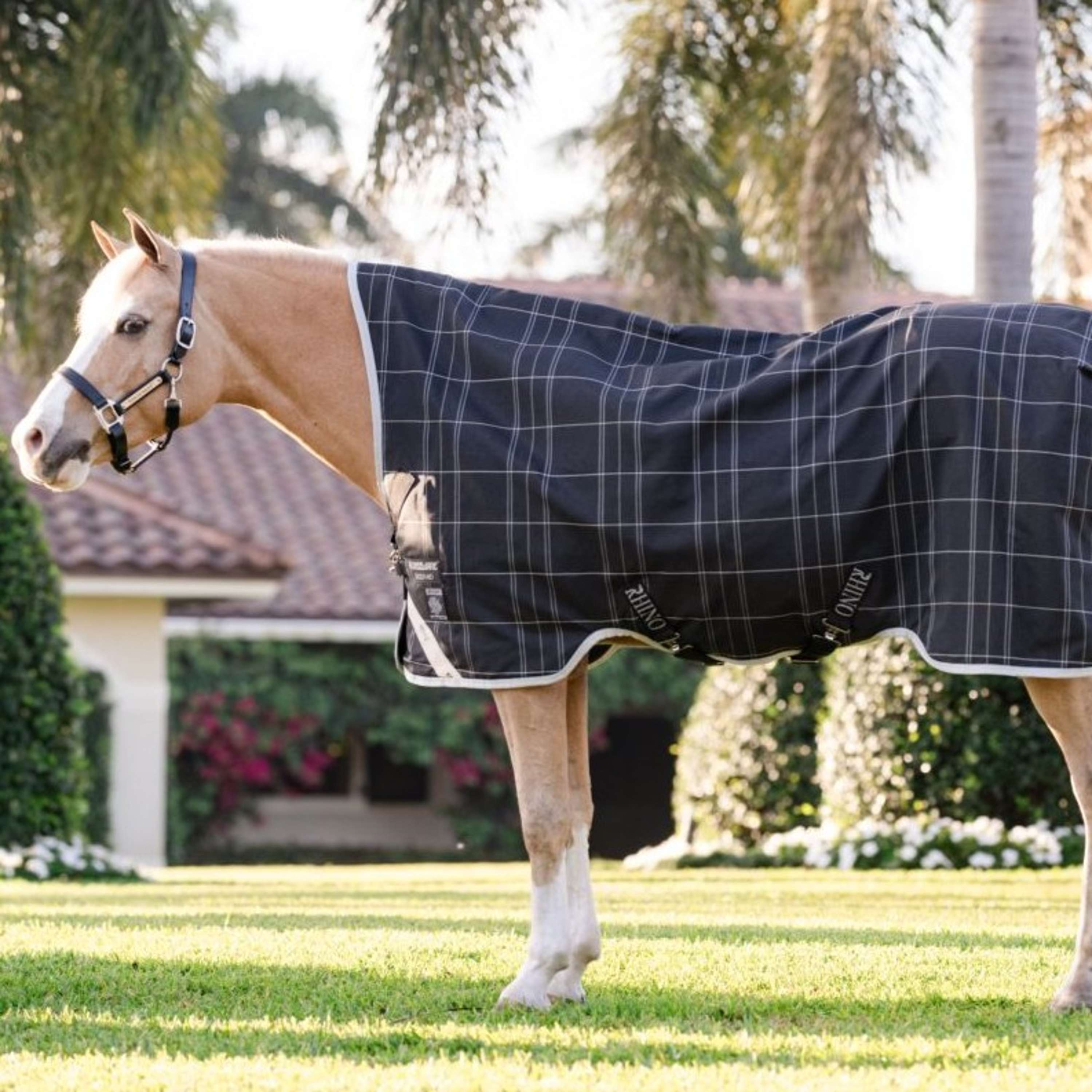 Rhino Wug Turnout Pony 0g Schwarz/Grau/Weiß Chk/Grau