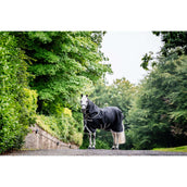 Amigo Turnout 1200D Plus 50g Schwarz/Titangrau/Silber