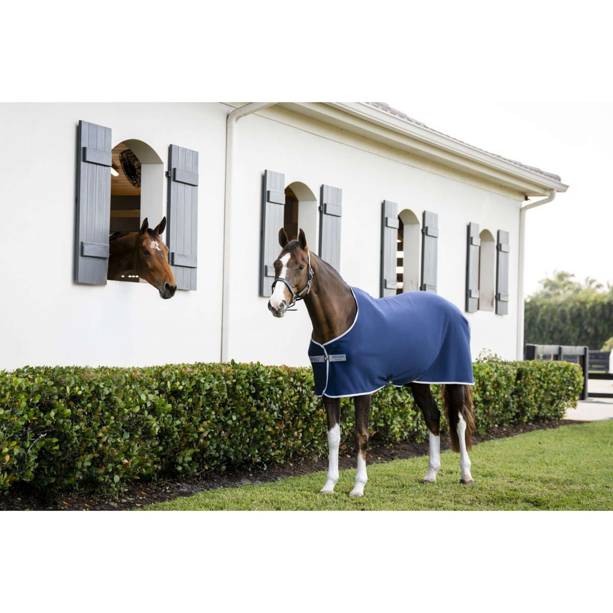 Amigo Jersey Cooler Pony Marineblau/Titangrau/Silber
