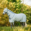 Witney Navy