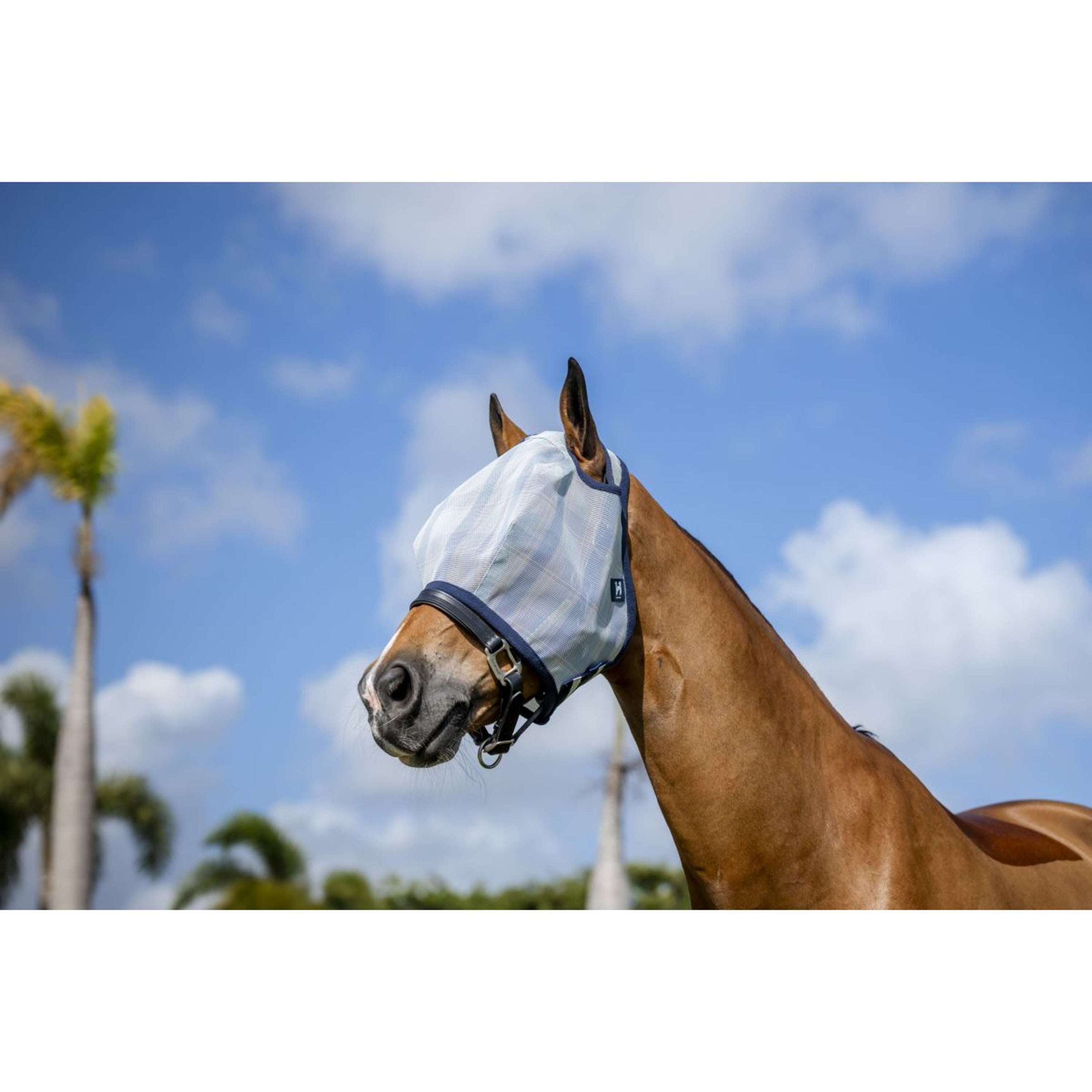 Horseware Fliegenmaske Newmarket Ohne Ohren Witney Navy