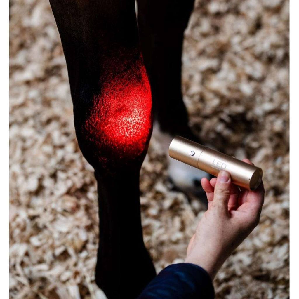 Horseware LED Red Light Therapy Zauberstab Schwarz