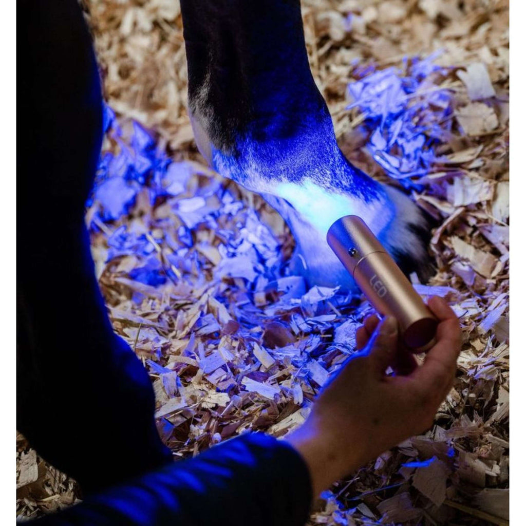 Horseware LED Red Light Therapy Zauberstab Schwarz