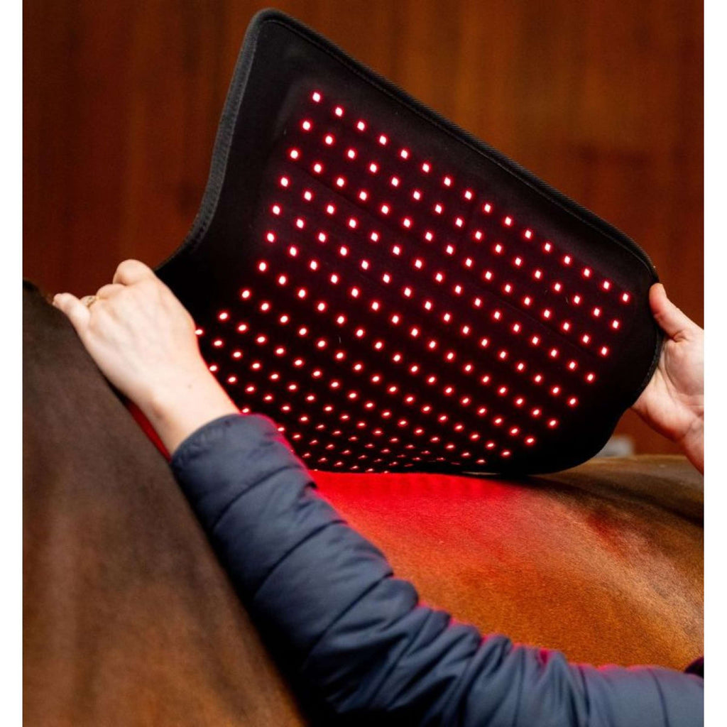Horseware LED Red Light Therapy Pad Schwarz