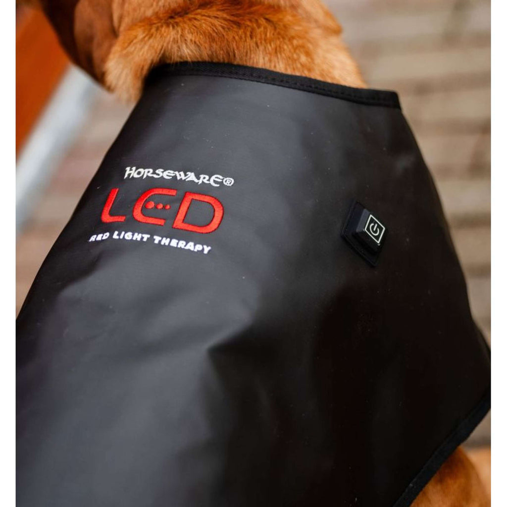 Horseware LED Red Light Therapy Decke Schwarz