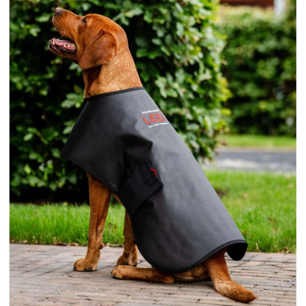 Horseware LED Red Light Therapy Decke Schwarz