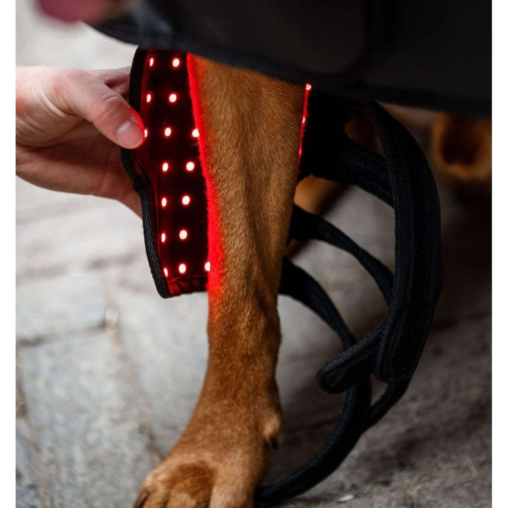 Horseware LED Red Light Therapy Pet Leg Wrap Schwarz