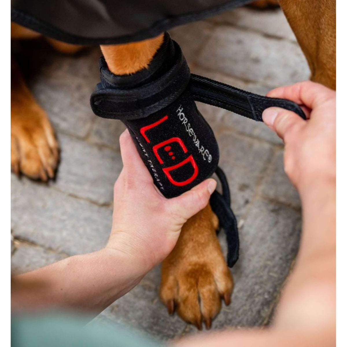 Horseware LED Red Light Therapy Pet Leg Wrap Schwarz