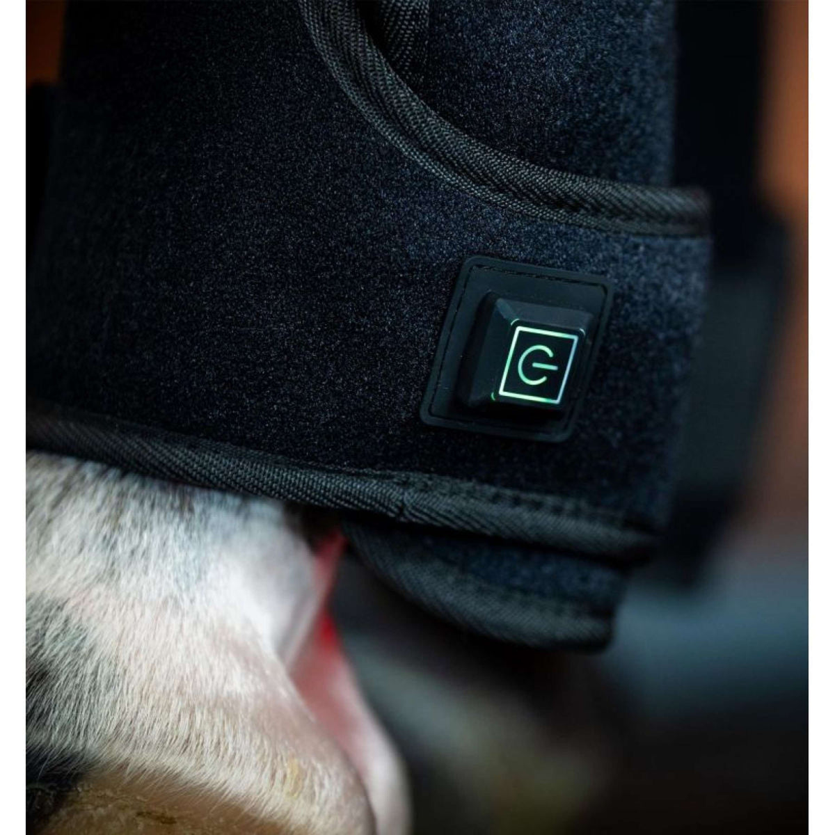 Horseware LED Red Light Therapy Right Leg Wrap Schwarz