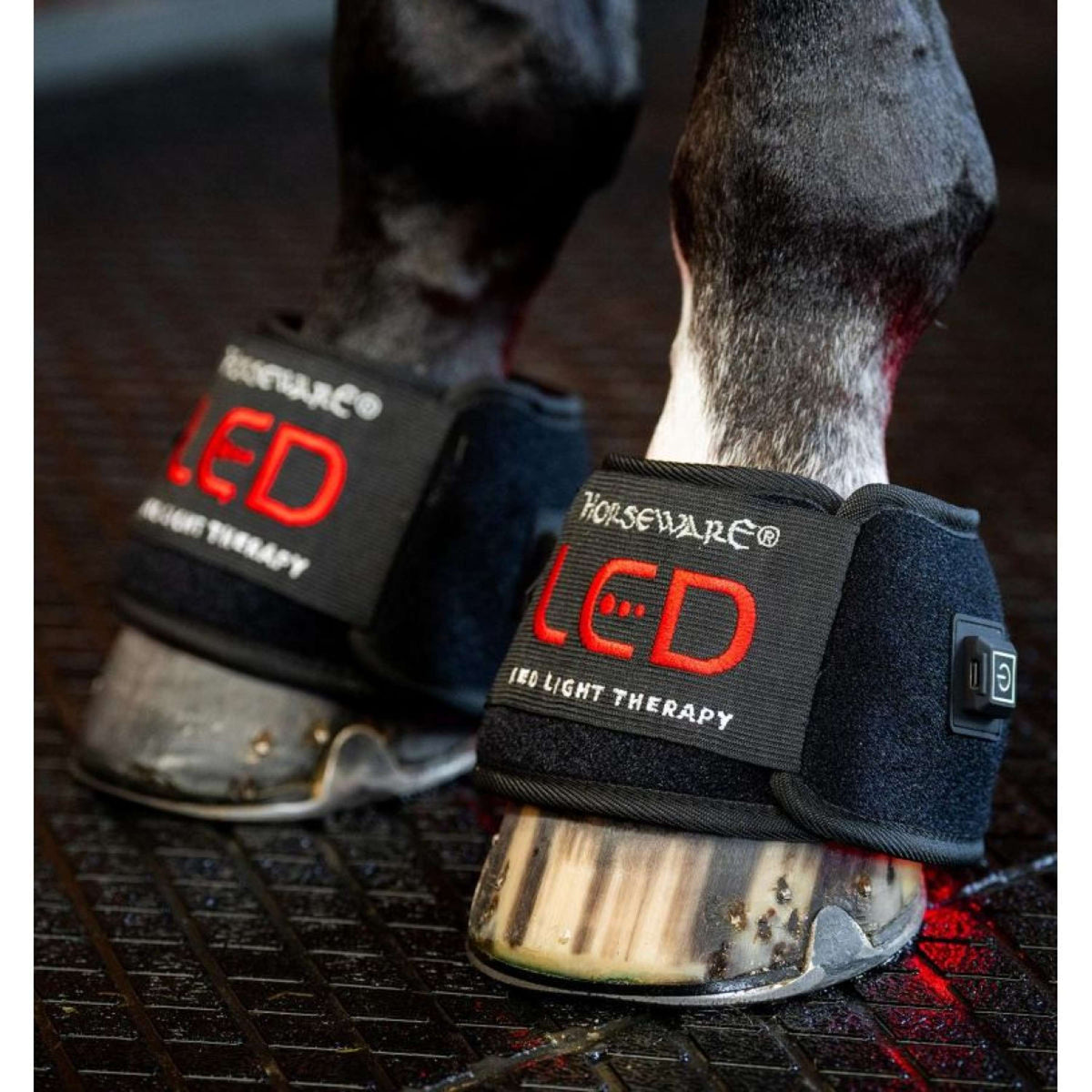 Horseware LED Red Light Therapy Mini Wrap Schwarz
