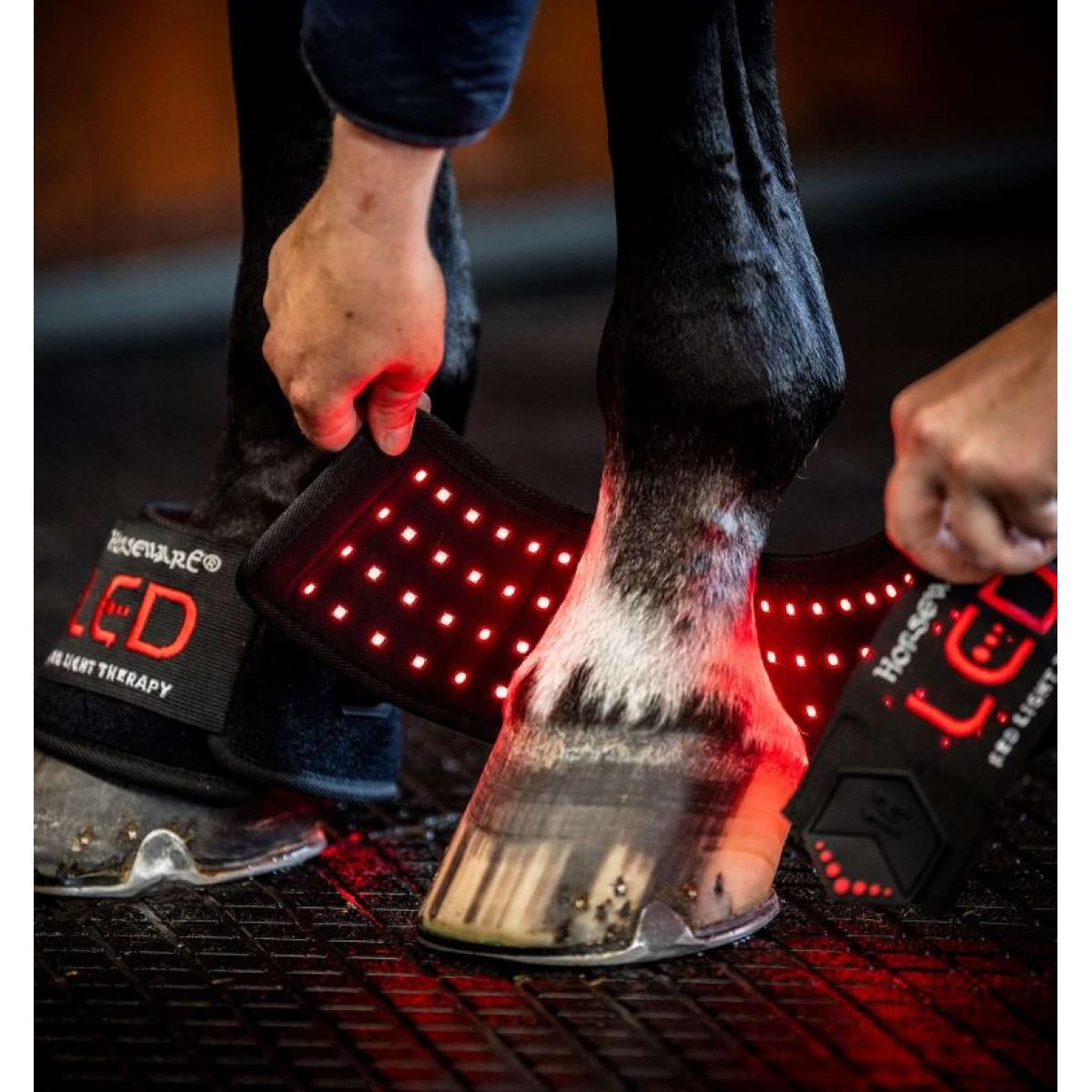 Horseware LED Red Light Therapy Mini Wrap Schwarz Horseware LED Red Light Therapy Mini Wrap Schwarz