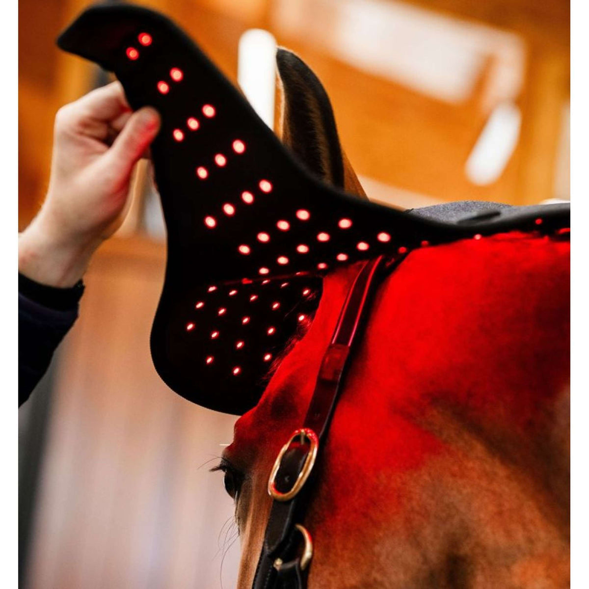 Horseware LED Red Light Therapy Poll Cap Schwarz