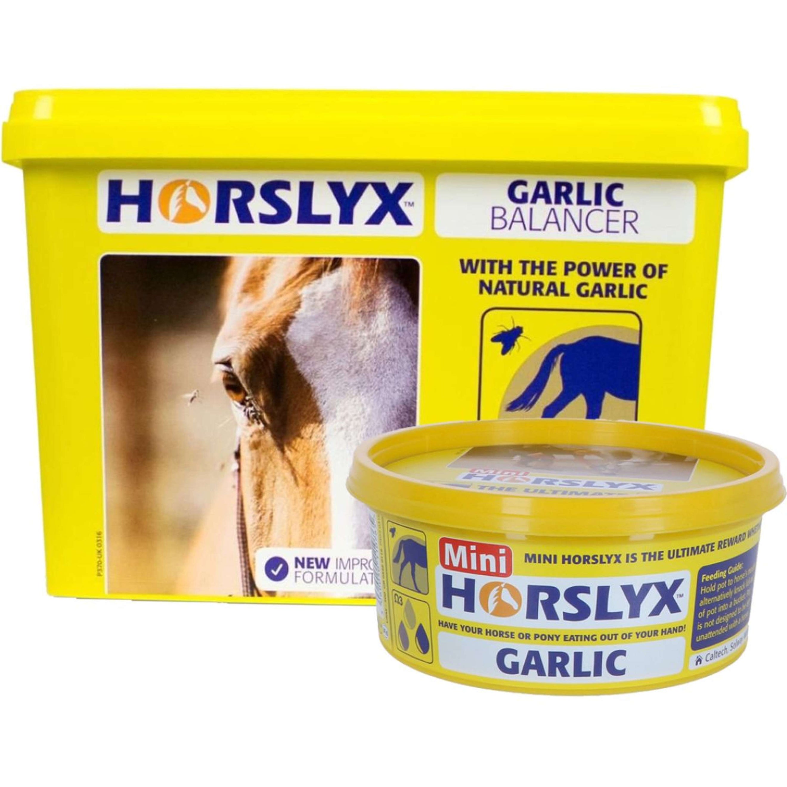 Horslyx Leckstein Garlic