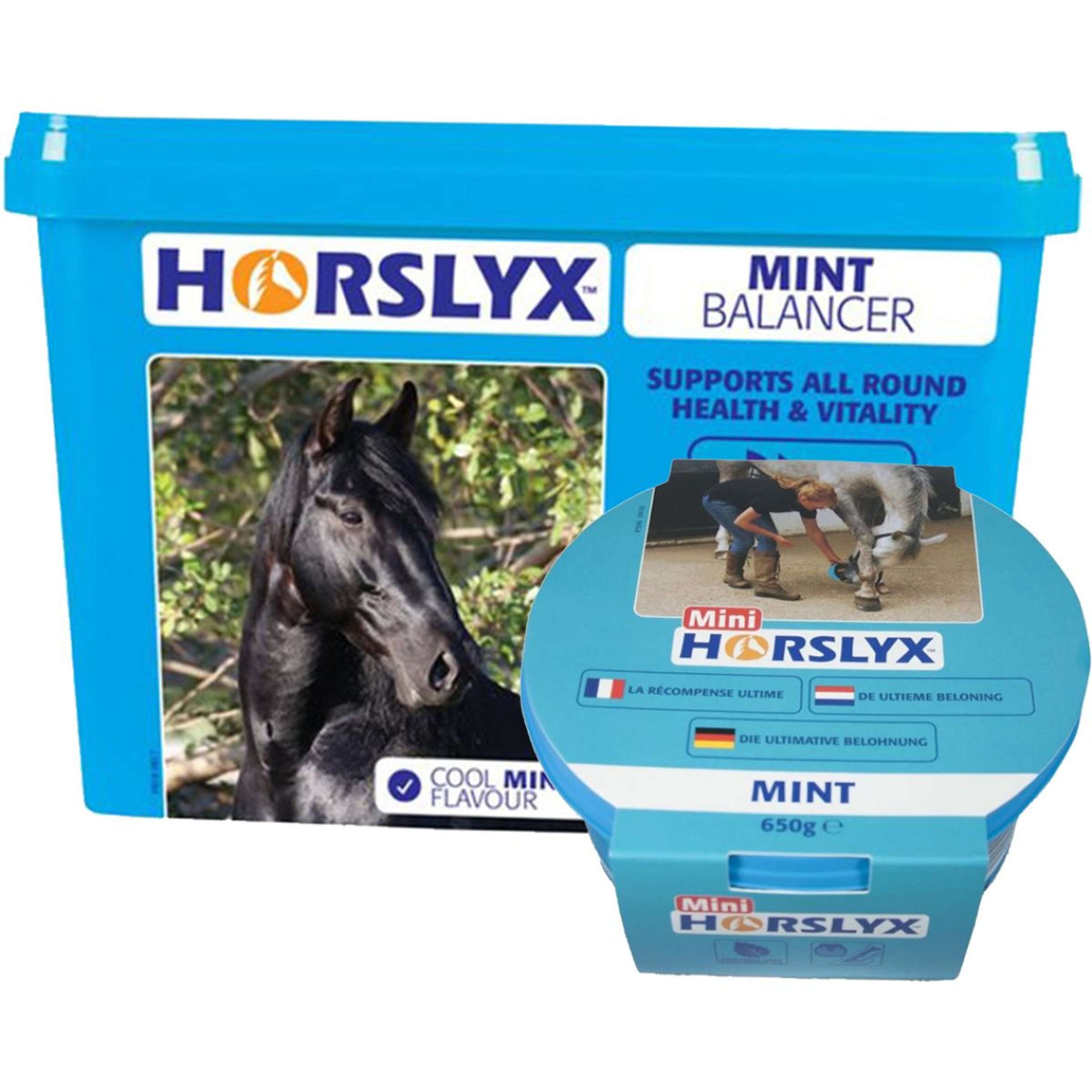 Horslyx Leckstein Mint
