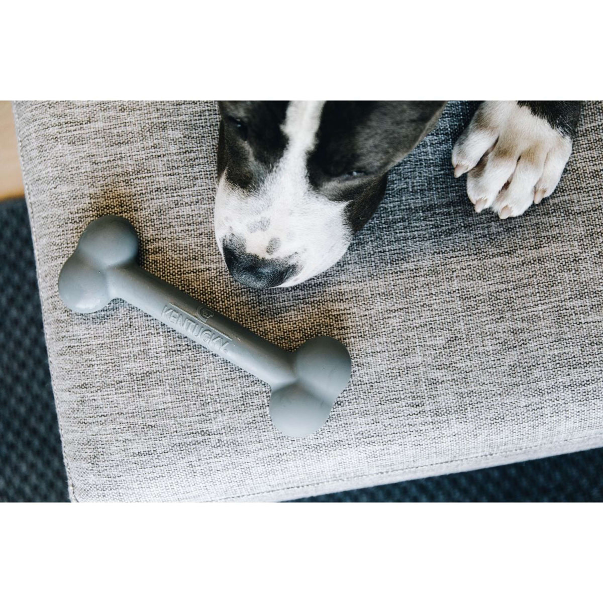 Kentucky Hundespielzeug Silikonknochen Grau