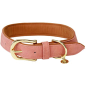 Kentucky HundeKragen Soft Vegan Leather