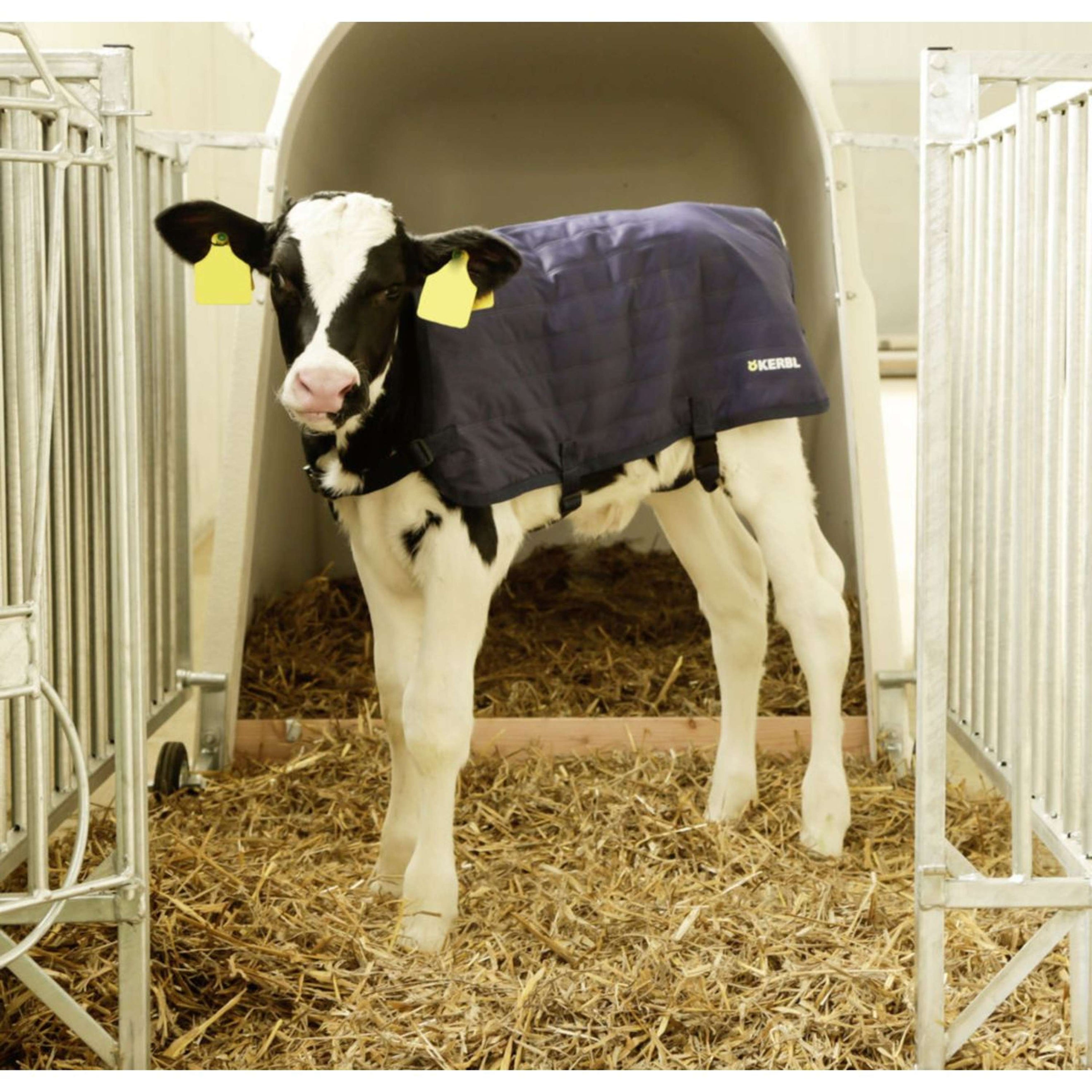 Kerbl Kälberdecke EasyWear leichte Ausführung Kerbl Kälberdecke EasyWear leichte Ausführung