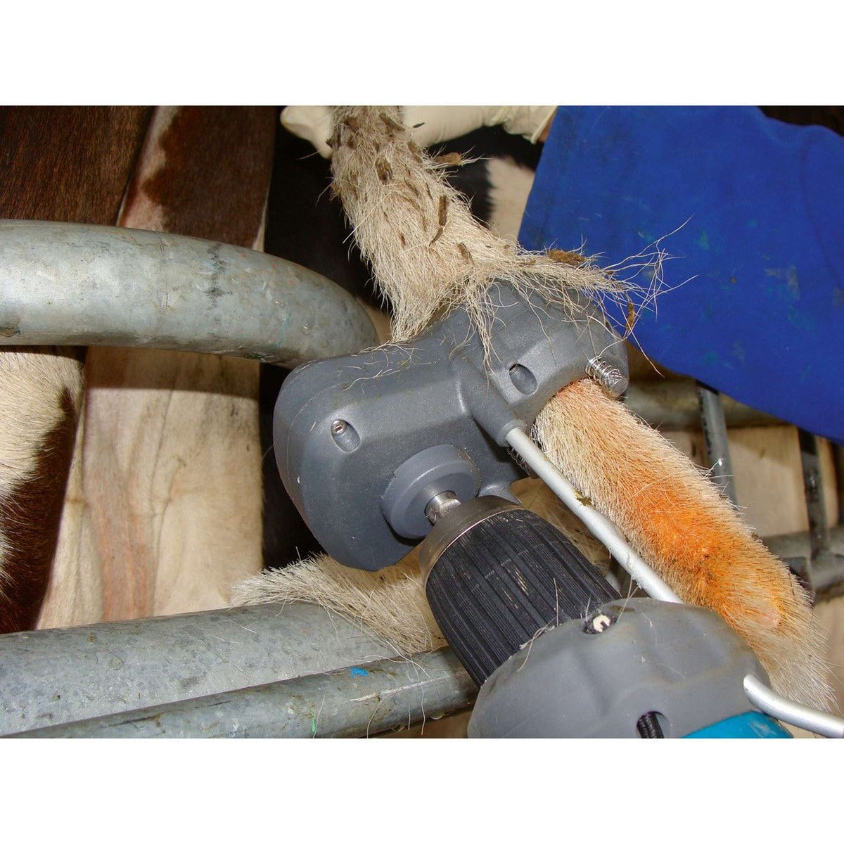 Kerbl Schermaschine Tailwell II