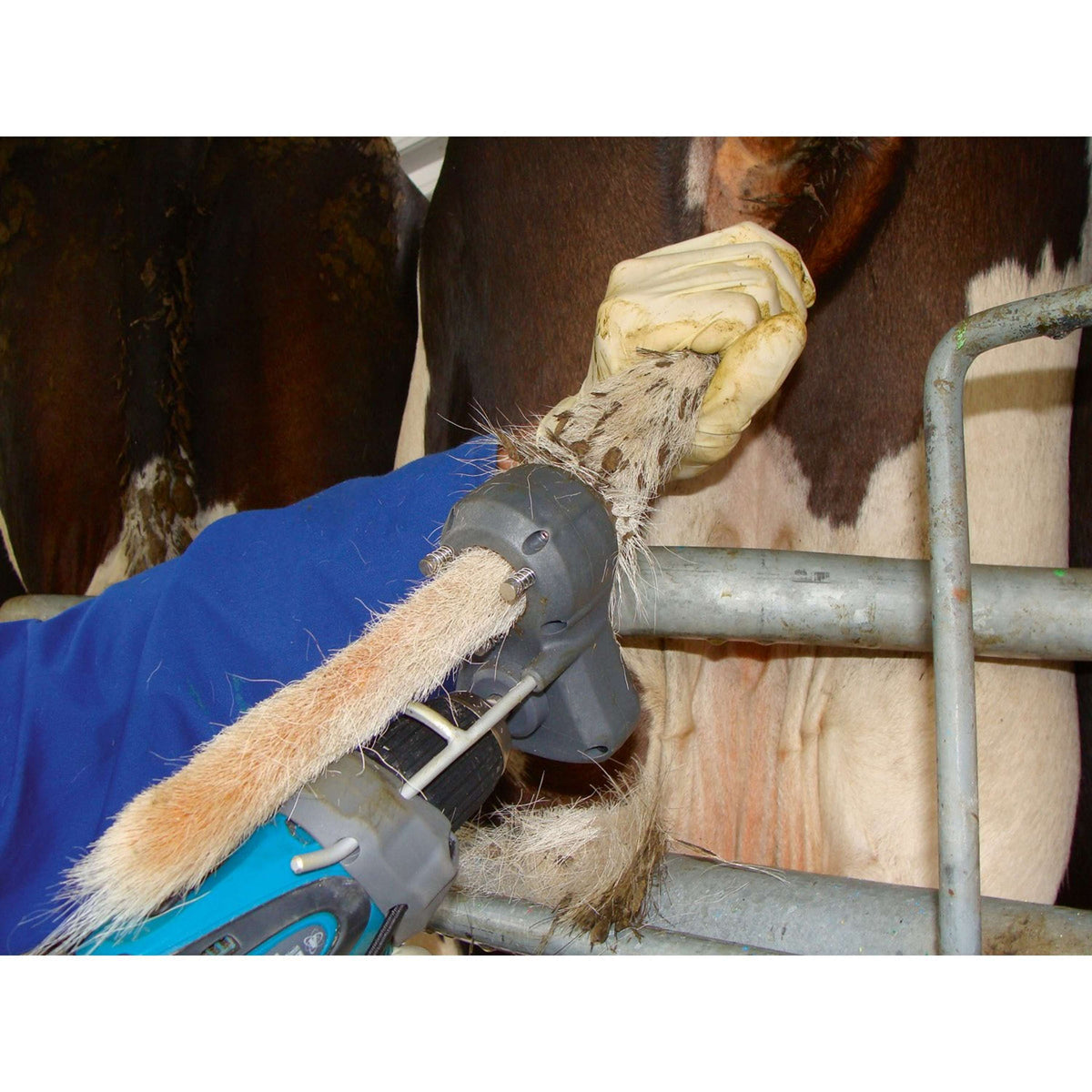 Kerbl Schermaschine Tailwell II